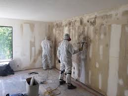 Professional Mold Prevention & Removal  in Wilmington Island, GA